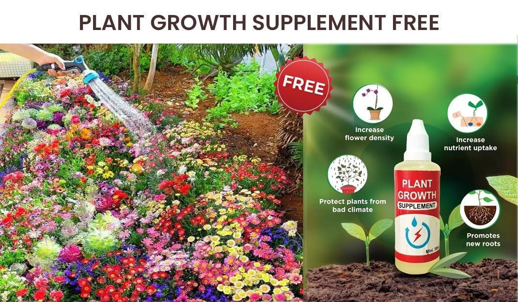 Organic Flower Seeds (Pack of 100) with a Free Plant Growth Supplement