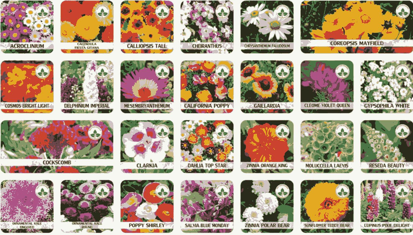 Organic Flower Seeds (Pack of 100) with a Free Plant Growth Supplement